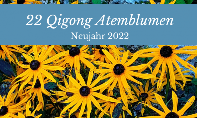 Qigong Atemblume Neujahr 2022